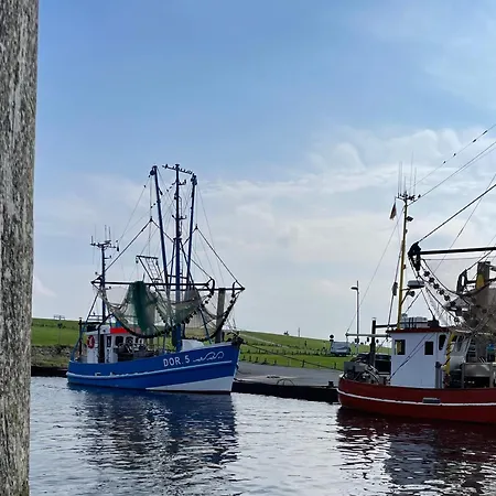 Penthouse De Hester 아파트