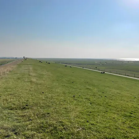 Penthouse De Hester 도룸 노이펠트