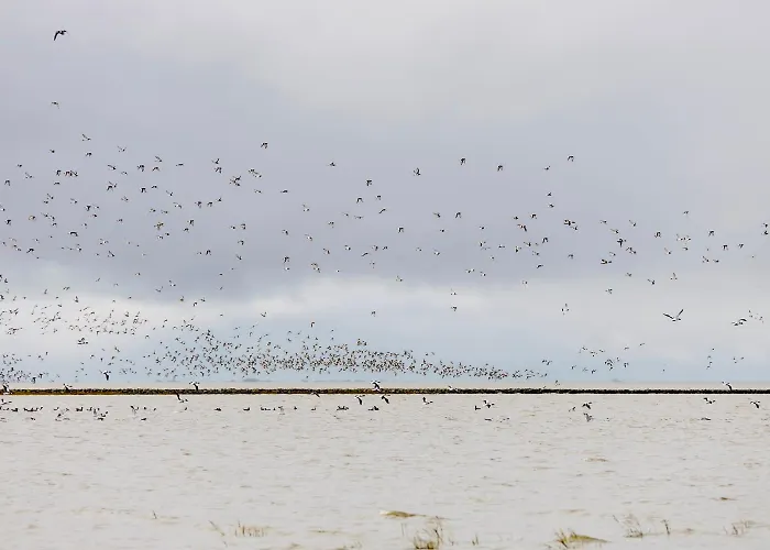 Penthouse De Hester شقة