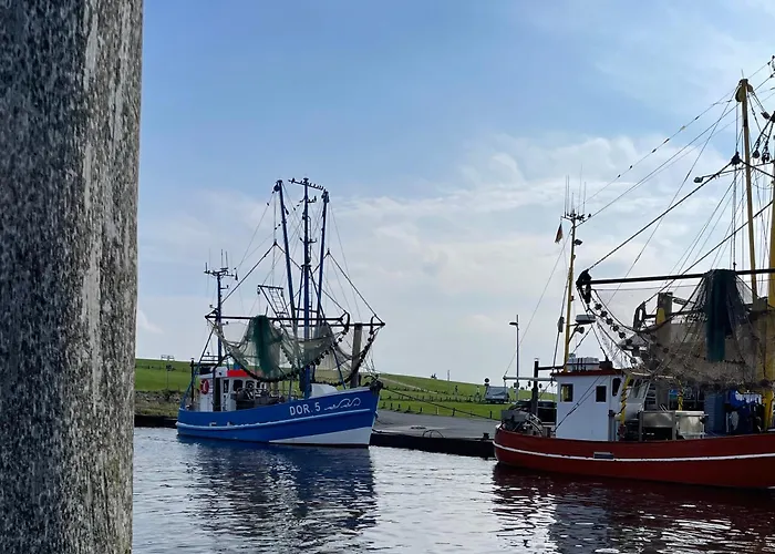 Penthouse De Hester Lejlighed