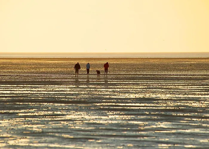 شقة Penthouse De Hester دورم نيوفيلد