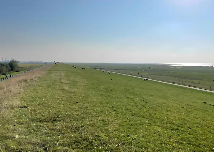 Penthouse De Hester دورم نيوفيلد